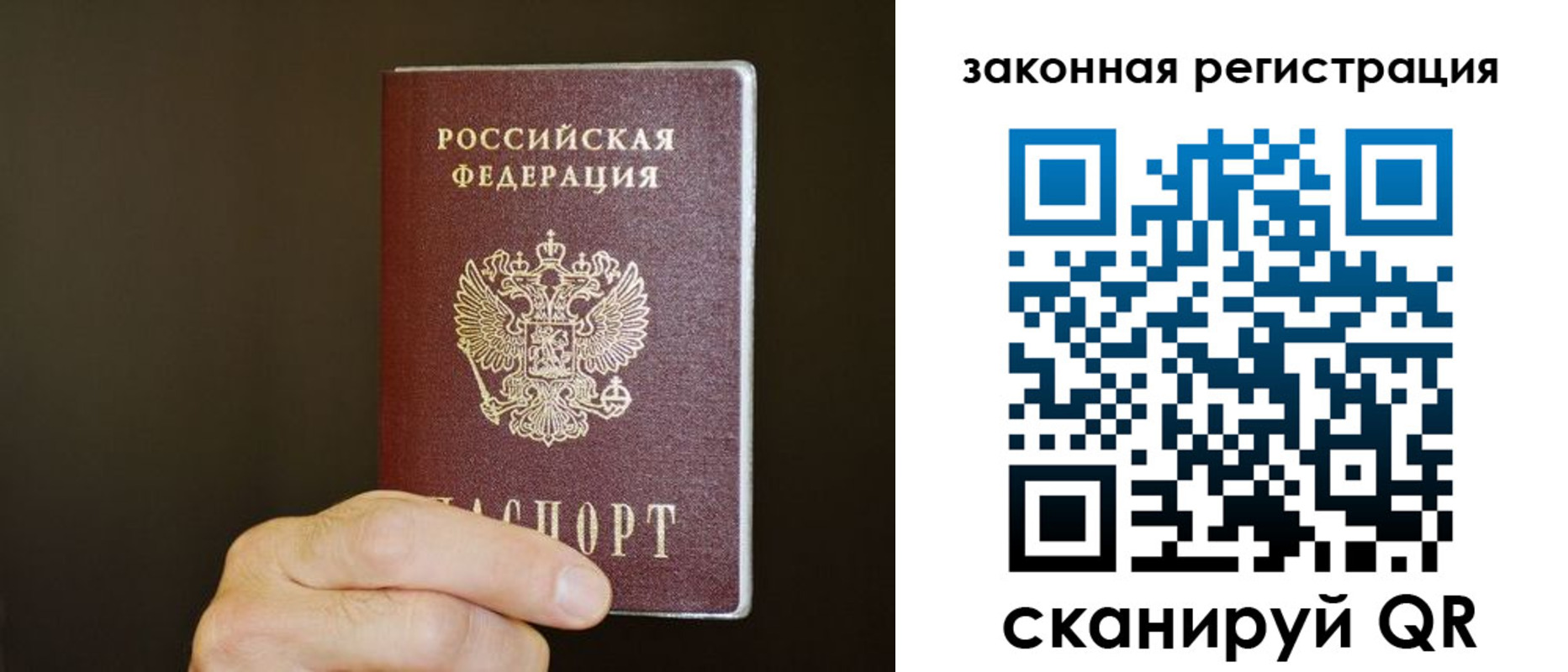 миграционный учет в Ленинградской области